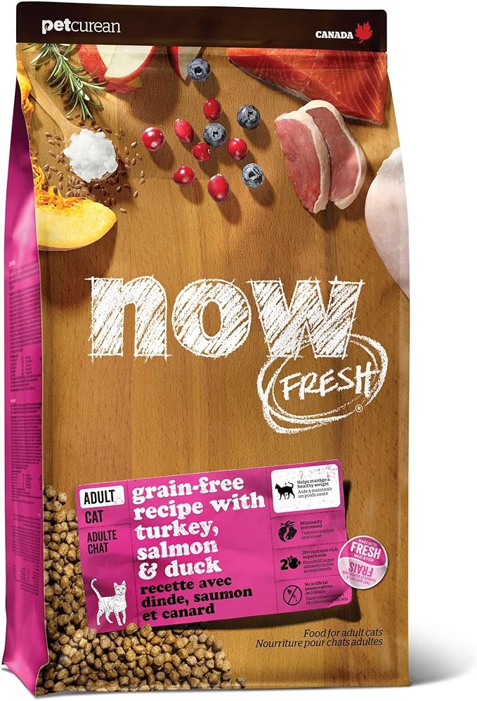 Now Fresh Grain-Free Dry Cat Food with Turkey, Salmon &amp; Duck, Healthy Kibble for Adults Made with Real Meat &amp; Fish, Chicken-Free, with Pumpkin &amp; Probiotics for Sensitive Stomachs, 8 lb Bag
