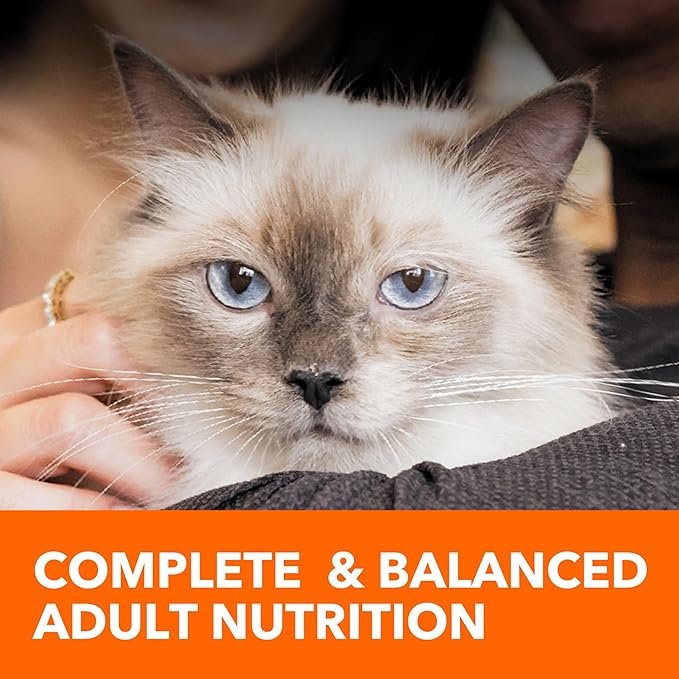 Iams IAMS PROACTIVE HEALTH Adult Sensitive Digestion &amp; Skin Dry Cat Food with Real Turkey Cat Kibble, 3 lb. Bag