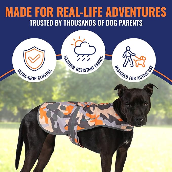 Dog Reflective Vest – Hi-Vis Fluorescent Visibility That Helps to Safeguard Your Pet On/Off Leash in Urban &amp; Rural Areas (Camo, Medium)