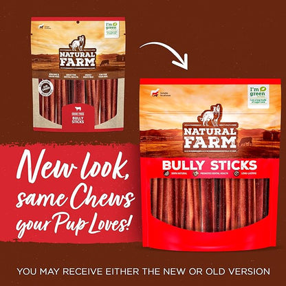 Natural Farm Odor-Free Thick Bully Sticks (12”, 10-Pack) All-Natural Long-Lasting Dog Chews, 100% Beef Pizzle, Grass-Fed, Grain-Free, Protein for Muscle Development &amp; Energy, Perfect for Large Dogs
