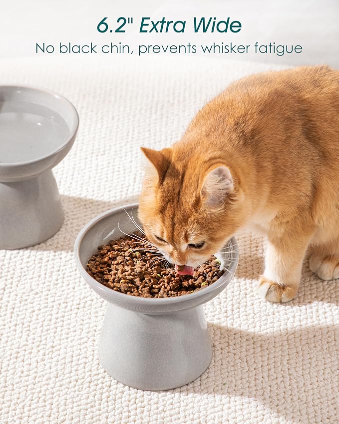 vancasso Ceramic Elevated Cat Bowls 2-Pack - 6.2" Extra Wide Raised Cat Food &amp; Water Dishes, 5.1" Optimal Height Anti-Whisker Fatigue Shallow Bowls for Cats/Kittens/Dogs, Lead &amp; Cadmium Free (Grey)