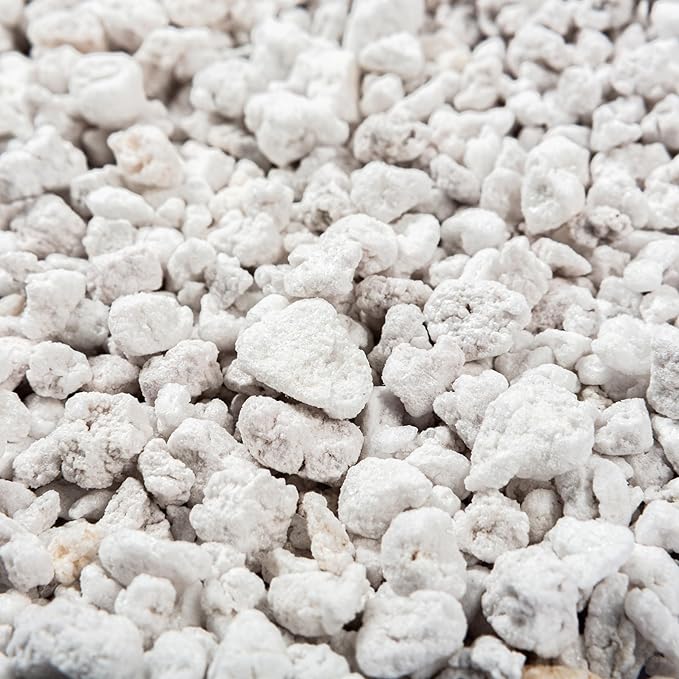Perlite Bliss (24 Qts) - Organic Perlite for Plants - Coarse Perlite Bulk Soil Amendment - Chunky Perlite for Plants, Potting Soil, Garden Soil, &amp; Coco Coir - Horticultural Perlite for Gardening