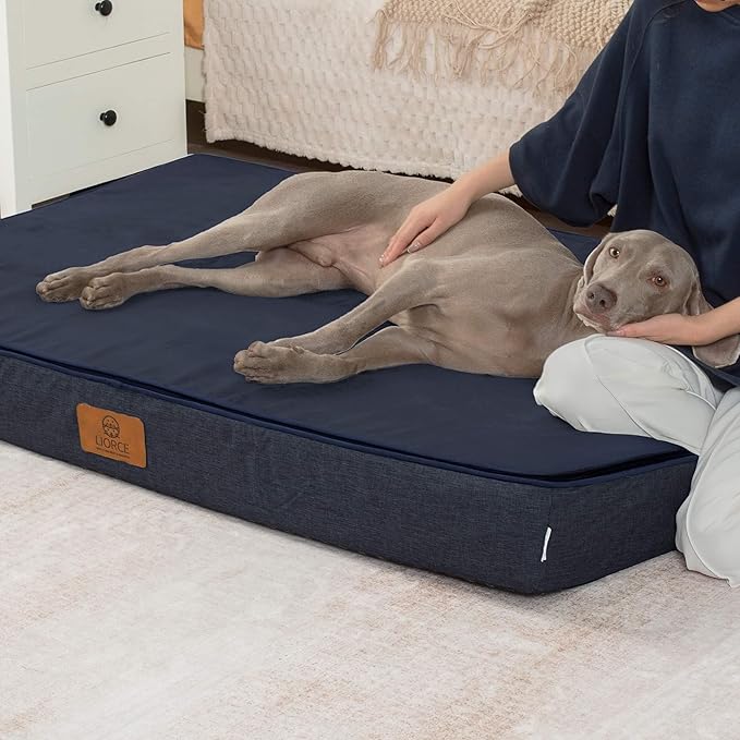 Orthopedic Memory Foam Giant Dog Bed - 6" Thick Beds for Large Sized Dog - Waterproof Removable Washable Cover &amp; Wrap-Around Zipper - Ultimate Comfort &amp; Easy Maintenance