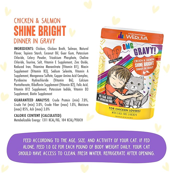 Weruva B.F.F. OMG - Best Feline Friend Oh My Gravy!, Chicken &amp; Salmon Shine Bright with Chicken &amp; Salmon in Gravy, 2.8oz Pouch (Pack of 12)