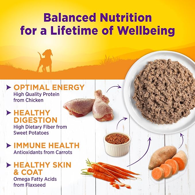 Wellness Complete Health Natural Wet Canned Puppy Food, Puppy Chicken &amp; Salmon 12.5-Ounce Can (Pack of 12)