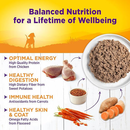 Wellness Complete Health Natural Wet Canned Puppy Food, Puppy Chicken &amp; Salmon 12.5-Ounce Can (Pack of 12)