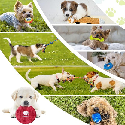 KIPRITII Puppy Toys for Dog Teething -25 Pack Various Puppy Chew Toys with Rope Toys, Dog Treat Balls &amp; Squeaky Toy for Puppy and Small Dogs