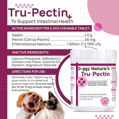 Tru-Pectin Anti-Diarrheal for Dogs &amp; Cats, 250 Tablets– Chicken Liver Flavor –Helps Reduce Occasional Loose Stool &amp; Diarrhea, Balance Gut pH, Support Normal Digestion &amp; Gut Flora -Made in USA