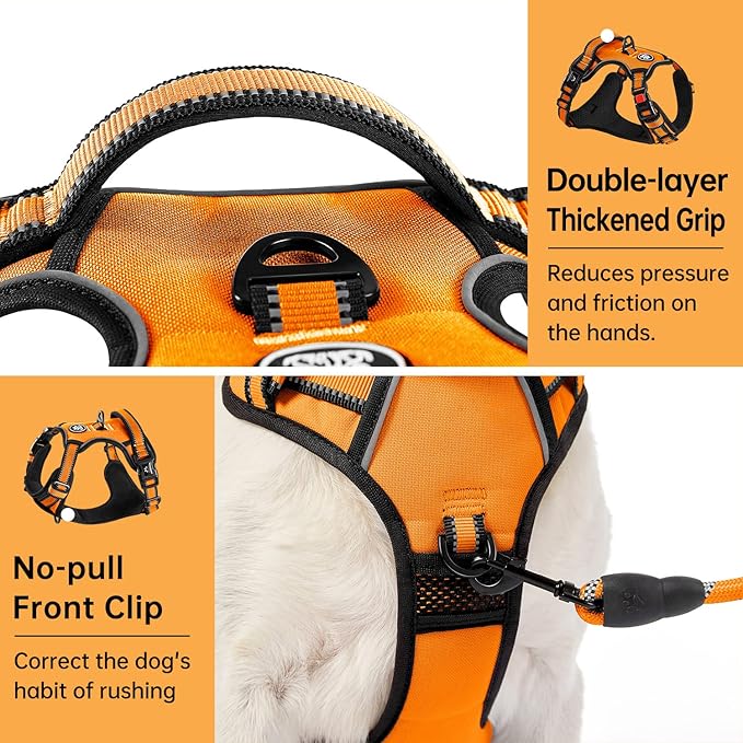 IVY&amp;LANE No Pull Dog Harness for Large Dogs, Dog Vest Harness with Leash, Safety Belt and Storage Strap, Fully Adjustable Harness, 360° Reflective Strip, Soft Handle (Orange, L)