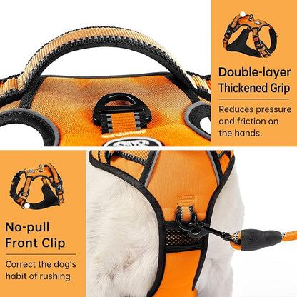 IVY&amp;LANE No Pull Dog Harness for Large Dogs, Dog Vest Harness with Leash, Safety Belt and Storage Strap, Fully Adjustable Harness, 360° Reflective Strip, Soft Handle (Orange, L)