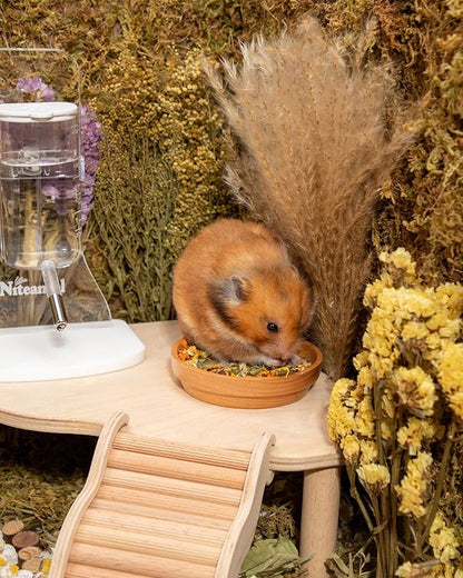 Niteangel Golden Hamster Food &amp; Treats - Small Animal Natural Food for Syrian Golden Hamsters or Other Small-Sized Pets