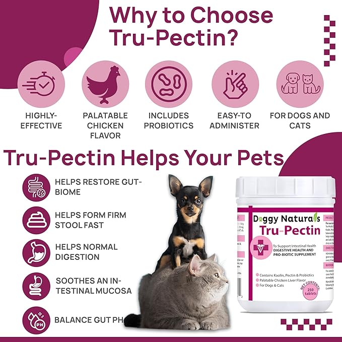 Tru-Pectin Anti-Diarrheal for Dogs &amp; Cats, 250 Tablets– Chicken Liver Flavor –Helps Reduce Occasional Loose Stool &amp; Diarrhea, Balance Gut pH, Support Normal Digestion &amp; Gut Flora -Made in USA