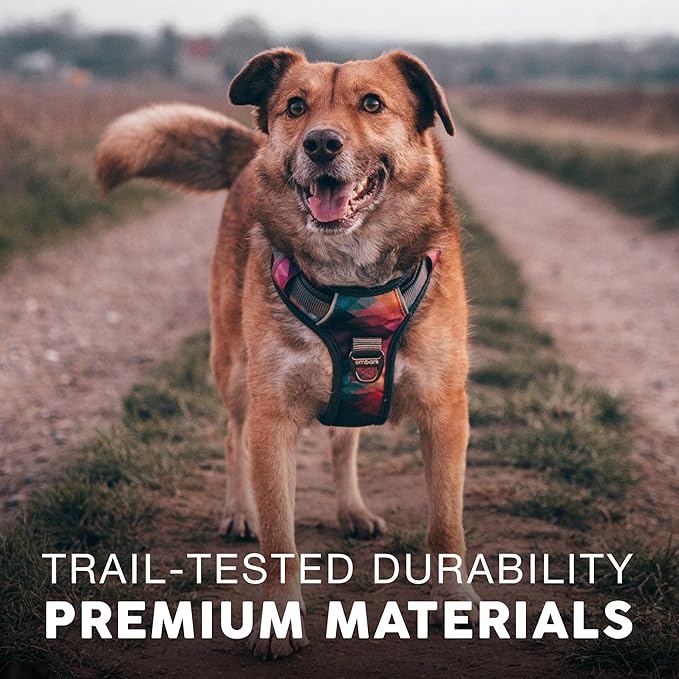 Embark Adventure Dog Harness, No-Pull Reflective Trim Dog Harness for Small, Medium &amp; Large Dogs - Heavy Duty Oxford, 2 Leash Clips &amp; Gel Lined Handle. Soft &amp; Padded Puppy Dog Vest for Any Breed