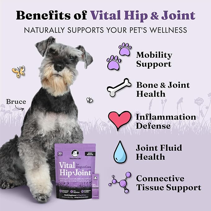 Vital Hip &amp; Joint Supplement for Dogs and Cats - Dog Joint Supplement, Mobility Support, Inflammation Defense, Green Lipped Mussels, Krill, Collagen for Dogs, Veterinarian Developed, 30 Packets