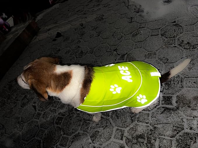 Custom Reflective Dog Vest High Visibility Reflective Jacket for Dogs Hunting Safety Gear with Elastic Strap &amp; Clasp, Comfortable, Perfect for Day and Night Walks!