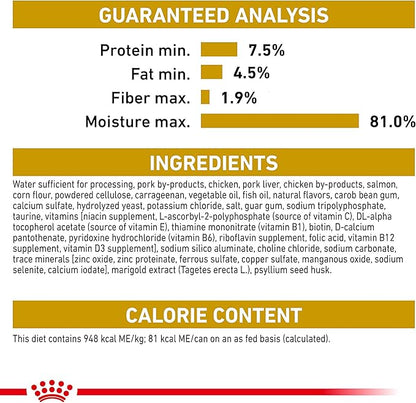Royal Canin Persian Adult Breed Specific Loaf in Sauce Adult Wet Cat Food, 3 oz can (6-Pack)