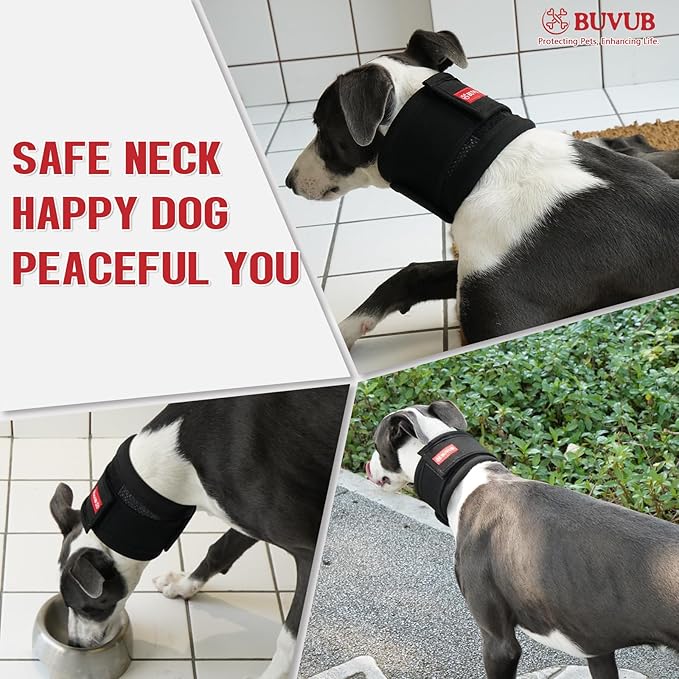 Adjustable Dog Neck Brace for Neck Pain &amp; Injury Relief - Soft &amp; Comfortable Support Collar for Dogs for Recovery After Surgery or Injury(Medium)