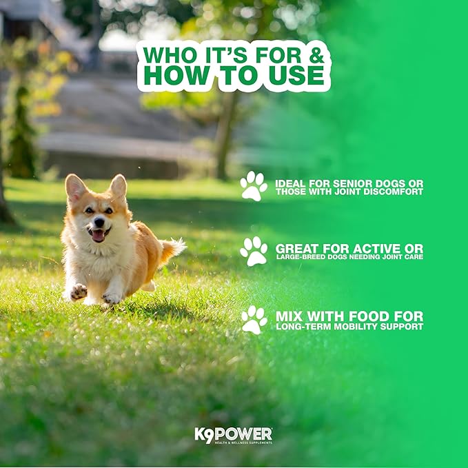 K9 Power Joint Strong Supplement 1 lb - Dog Joint Health &amp; Mobility Support with Glucosamine, Curcumin, Chondroitin, Hip &amp; Joint Pain Relief