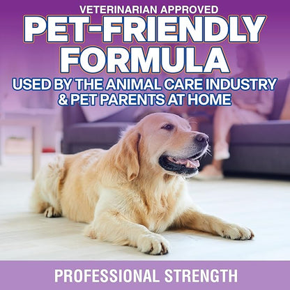 OdorPet Pet Stain Remover and Odor Eliminator - 16 Oz Ready To Use Spray, Non Staining, Professional Strength, Lavender Scent by Alpha Tech Pet