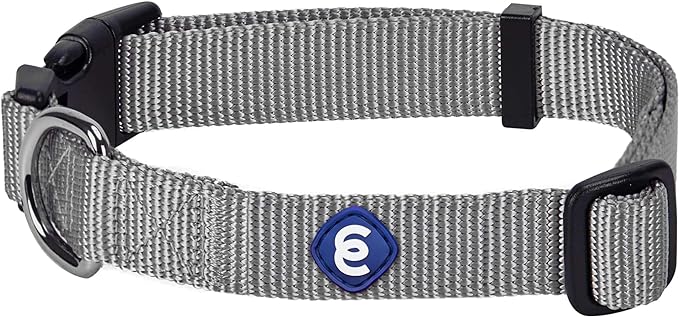 Blueberry Pet Essentials Small Dog Collar in Flint Gray | Adjustable &amp; Eco-Friendly Durable Nylon Strap | Classic Collar for Small Dogs, Boy &amp; Girl Pets