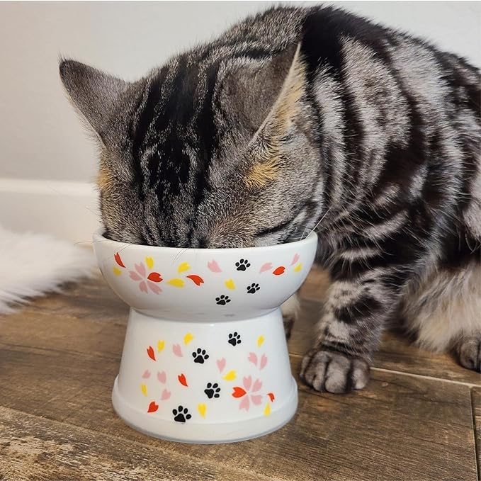 Necoichi Raised Stress Free Cat Food Bowl, Elevated, Backflow Prevention, Dishwasher and Microwave Safe, No.1 Seller in Japan! (Sakura Limited Edition, Large)