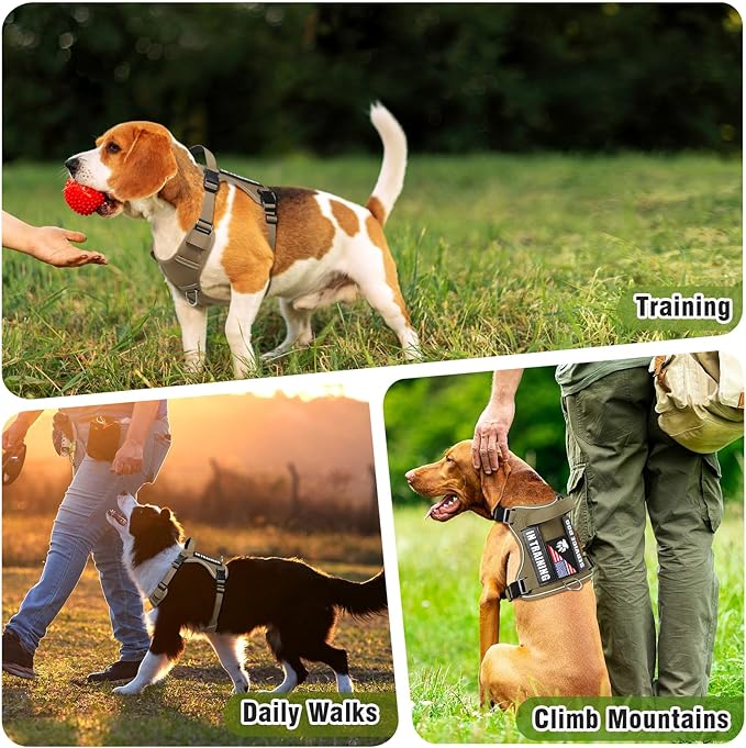 WINSEE Service Dog in Training Harness with 5 PCS Patches, Reflective Tactical Dog Vest Harness, Adjustable Soft Oxford Pet Harness with Easy Control Handle, Hook &amp; Loop Panels for Walking Hiking