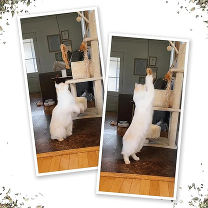 Meowijuana Jump &