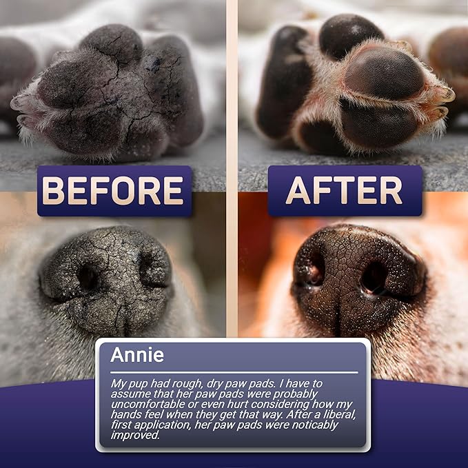 Dog Paw Balm for Dry Cracked Paws – Lick-Safe Moisturizer and Organic Paw Wax with Aloe &amp; Vitamin E – Hot Pavement and Winter Snow Protection – Nose Safe – for All Breeds