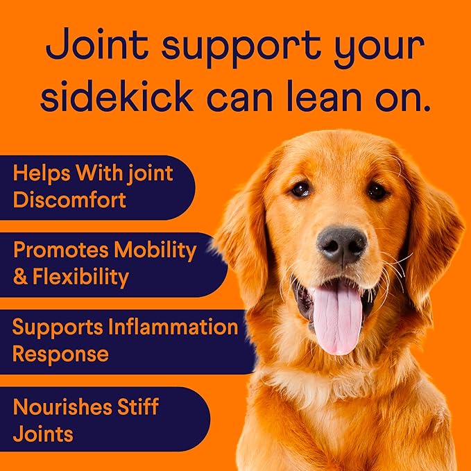 Finn Hip and Joint Supplement for Dogs | Glucosamine, Chondroitin &amp; MSM for Joint and Mobility Support | with Turmeric, BioPerine and B-Vitamins | 90 Soft Chews