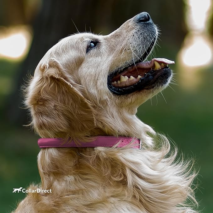 CollarDirect Rolled Leather Dog Collar, Soft Padded Round Puppy Collar, Handmade Genuine Leather Collar Dog Small Large Cat Collars 13 Colors (13-16 Inch, Pink Textured)
