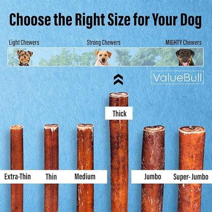 ValueBull Bully Sticks for Dogs, Thick 12 Inch, 100 Count - All Natural, Grass Fed, Single Ingredient, Long Lasting Dog Treats
