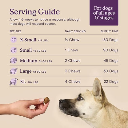 Fera Pets Dog Calming Chews with Ashwagandha &amp; Priome® Mental Wellbeing Postbiotic Blend - Supports Anxiety Relief - Promotes Relaxation - 90 Soft Chews
