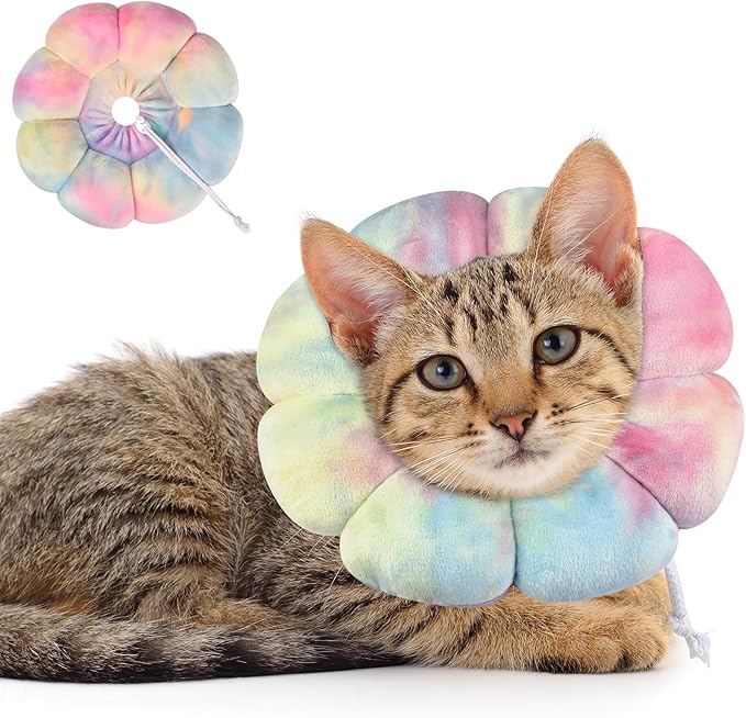 Dog Cat Surgical Recovery Cone Dog Protective Collar, Pet Recovery E-Collar Soft Neck Cone to Stop Licking Wound for Cats &amp; Kittens Small Dog After Surgery