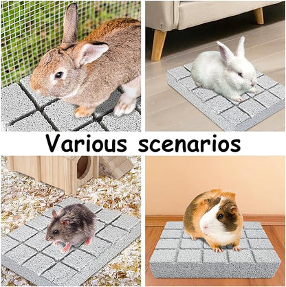 Hamiledyi 8PCS Rabbit Scratching Pads Bunny Lava Grinding Claw Pads Small Animal Foot Pads Hamster Scratch Board Chew Toys for Gerbil Chinchilla Hedgehog Guinea Pig Cage Accessories