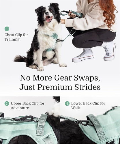2025 New Edition, Fei &amp; Eve MagEase Dog Harness - 3-Second Magnetic Buckles | 3-Point No-Pull Control | Heavy-Duty 900D Nylon | Dual Safety Handles | Breathable Mesh | Adjustable Fit | Medium, Green