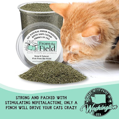 from The Field | Fine Ground Stalkless Catnip | Premium USA-Grown Catnip for Toys &amp; Playtime | Fresh, Potent, Non-Toxic, Eco-Friendly | Safe for Kittens &amp; Cats | Resealable 1 oz Can