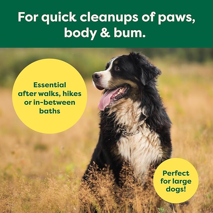 Earth Rated XL Pet Wipes for Dogs &amp; Cats, 3-in-1 Hypoallergenic Cleaning, Deodorizing and Hydrating Extra Large Grooming for Body, Paws and Butt, Unscented, 60 Count