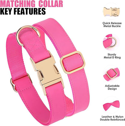 PET ARTIST Soft PU Leather Dog Collar, Bright &amp; Stylish Hot Pink Dog Collar Girl with Quick Release Rose Metal Buckle, Nylon Padded Durable Pet Collars Adjustable for Medium Dogs, Neck Fit 13-19"