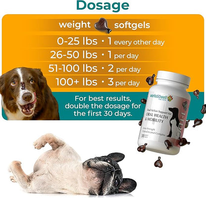 1TDC WorksSoWell Dual Action Joint Supplement for Dogs &amp; Cats - Hip and Joint Supplement for Large Breed &amp; Small Breed - Also Great for Oral Health - Muscle &amp; Stamina Recovery &amp; Arthritis - 30ct