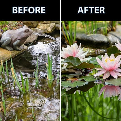 CrystalClear Thrive Aquatic Pond Plant Food, Fish Safe Water Garden Fertilizer, Nutrients Boost Lily &amp; Lotus Flower Bloom &amp; Root Growth, 60 Tablets