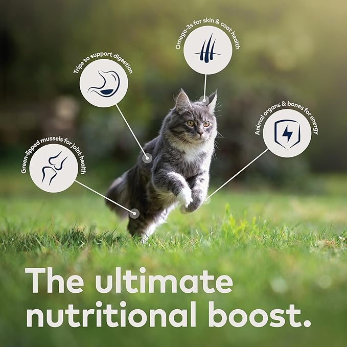 ZIWI Peak Air-Dried Cat Food Bundle High Protein, Grain Free &amp; Limited Ingredient Superfoods (Beef, 14oz + Lamb + Chicken)