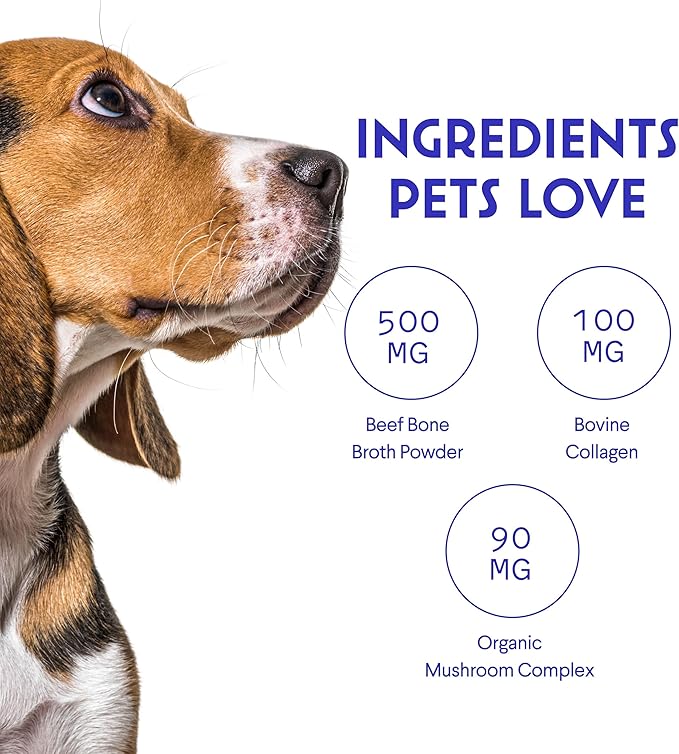Bone Broth for Dogs – Bone Broth Powder with Organic Mushrooms &amp; Collagen for Digestion, Immunity &amp; Joint Support – Tasty Beef Supplement for Dogs of All Ages, Sizes &amp; Breeds – 3.20 oz