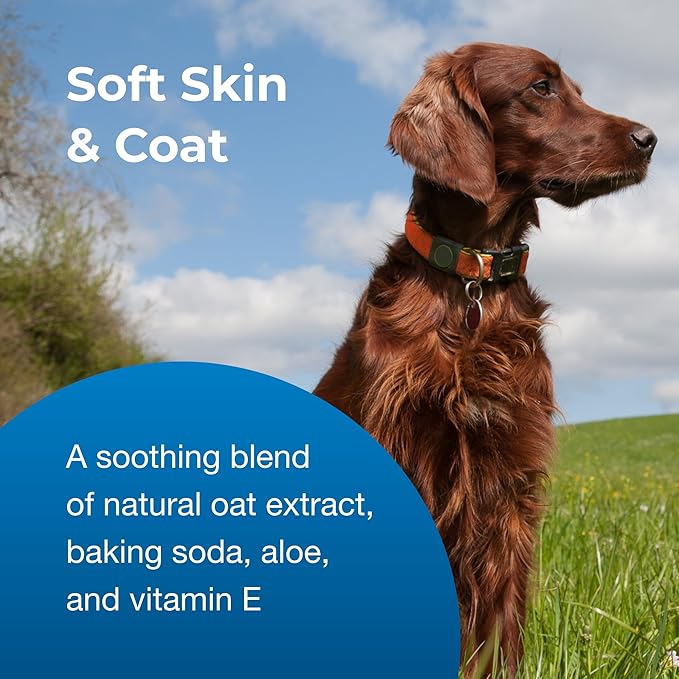 Pet-Ag Fresh ’n Clean Oatmeal ’n Baking Soda Conditioner, Tropical Breeze Scent (15:1 Concentrate) - 1 Gallon - Gently Cleans, Soothes &amp; Deodorizes Dogs with Vitamin E &amp; Aloe Vera - Soap Free