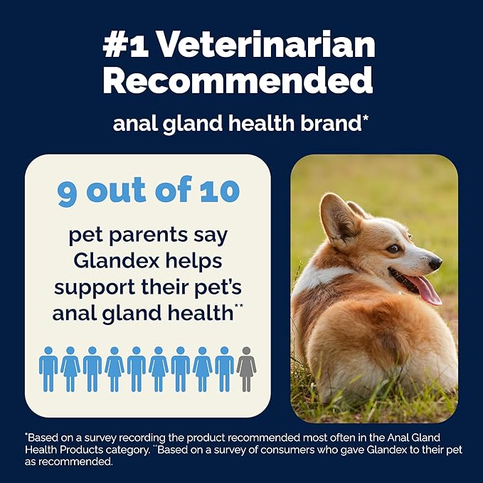 Glandex Dog Fiber Supplement Powder for Anal Glands with Pumpkin, Digestive Enzymes &amp; Probiotics - (Regular or Advanced Strength) - Boot The Scoot (8.5 oz, Advanced Strength Duck &amp; Bacon)