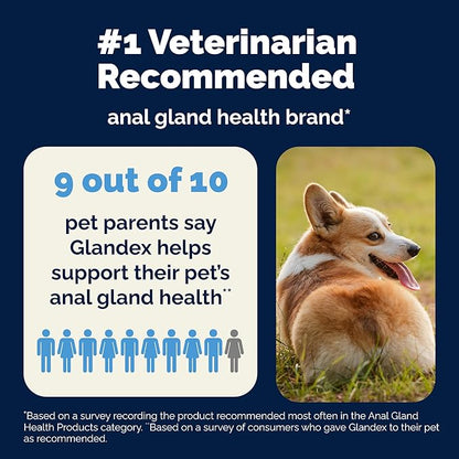 Glandex Dog Fiber Supplement Powder for Anal Glands with Pumpkin, Digestive Enzymes &amp; Probiotics - (Regular or Advanced Strength) - Boot The Scoot (8.5 oz, Advanced Strength Duck &amp; Bacon)