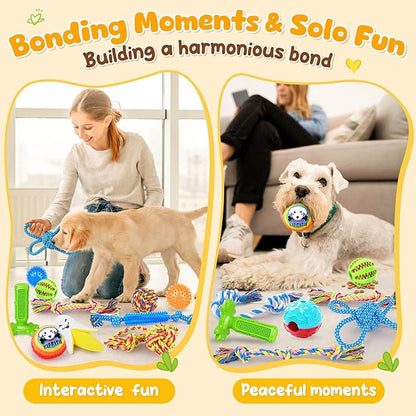 KIPRITII 25 Pack Various Puppy Dog Toys for Teething, Entertainment &amp; Interaction, Puppy Chew Toys Pack with Rope Toy, Treat Balls and Dog Squeaky Toys for Puppies &amp; Small Dogs