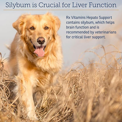 Rx Vitamins Liquid Hepato Support for Dogs &amp; Cats - Liver Support Supplement with Milk Thistle for Dogs (Silymarin &amp; Silybinin) and Vitamin B - Bacon Flavor (4oz)