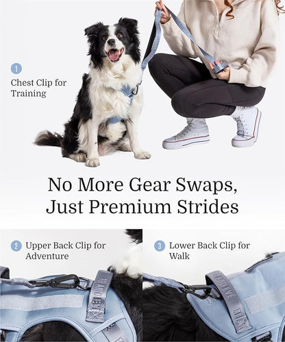 2025 New Edition, Fei &amp; Eve MagEase Dog Harness - 3-Second Magnetic Buckles | 3-Point No-Pull Control | Heavy-Duty 900D Nylon | Dual Safety Handles | Breathable Mesh | Adjustable Fit | Large, Blue