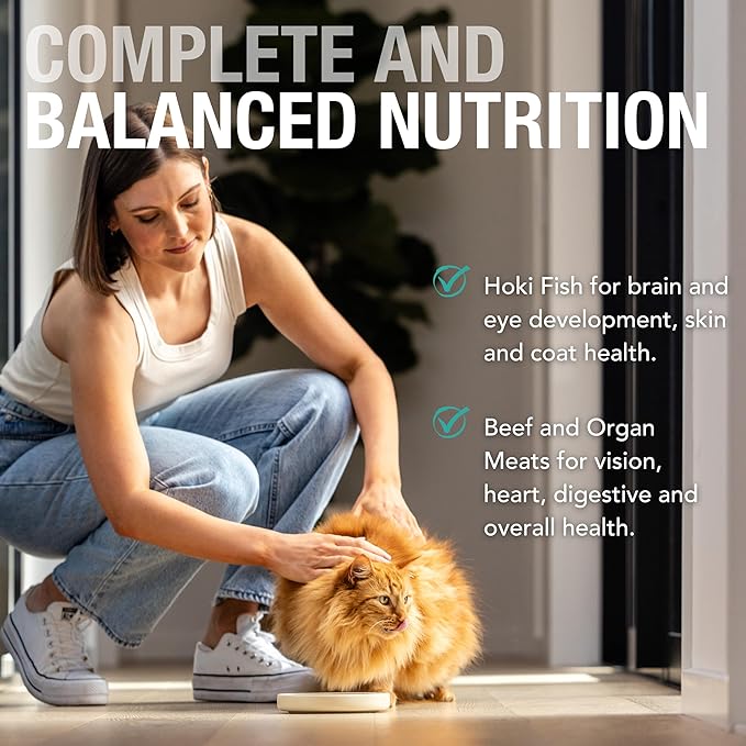 Feline Natural Wet Cat Food Pouch - Hoki &amp; Beef Feast, Grain-Free, Grass-Fed &amp; Sustainably Sourced Wet Food for Cats - Made in New Zealand, 3oz Pate, 12 Count Pack