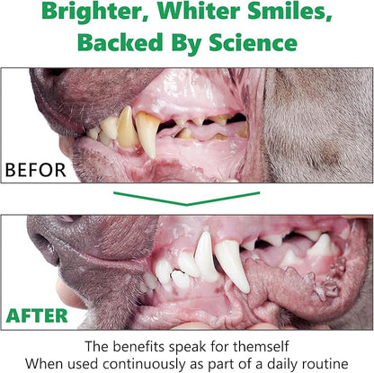 Dog Dental Powder, 120g Teeth Cleaning Powder for Dogs, Breath Freshener with Probiotics Improve Bad Breath, Remove Plaque &amp; Tartar - Pets Dental Care Supplement for Dogs - 4.23 OZ/Scoop Included